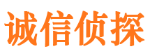 高台市调查公司